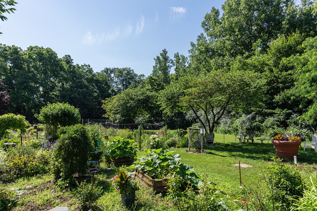 a garden with many different plants and trees