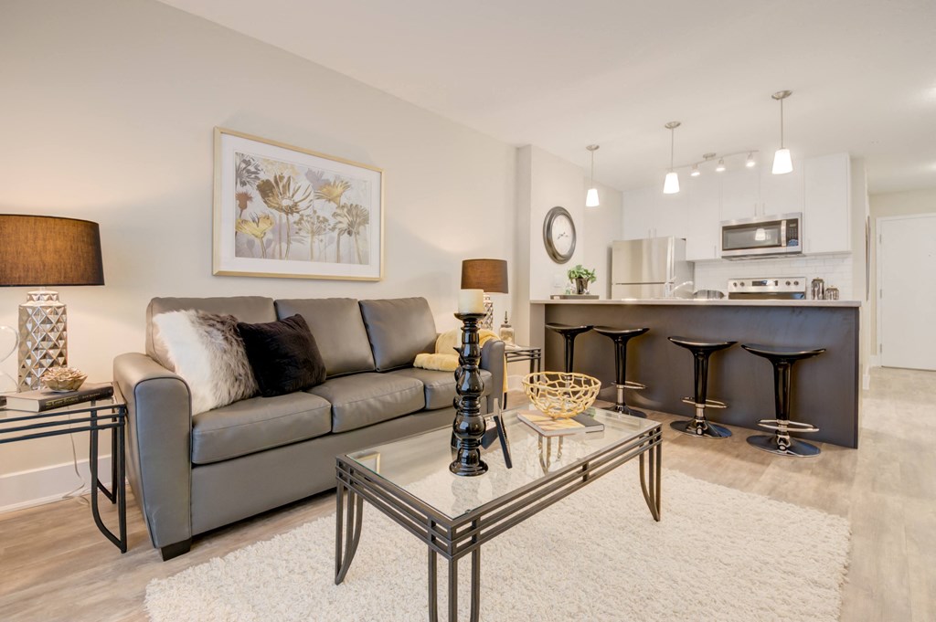 Spacious living area and kitchen.
