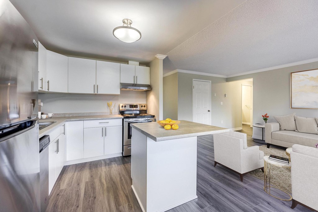open concept kitchen and living area