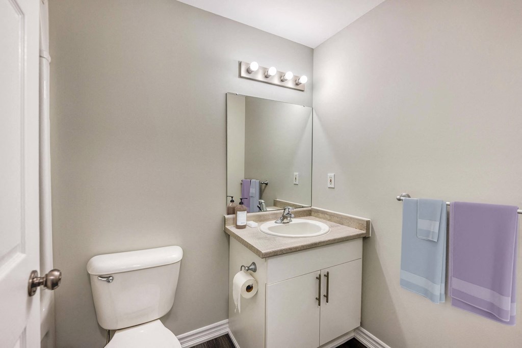 a bathroom with a toilet sink and mirror