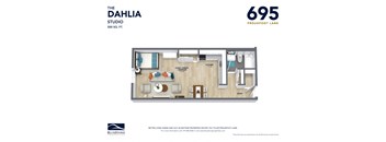 the dahlia studio suite floor plan