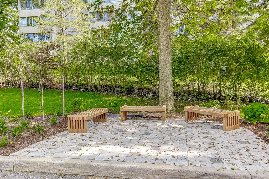 a group of benches sitting next to a tree