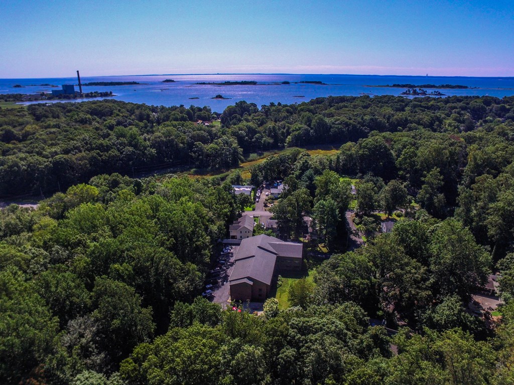 an aerial view of a building surrounded by trees with the ocean in the background