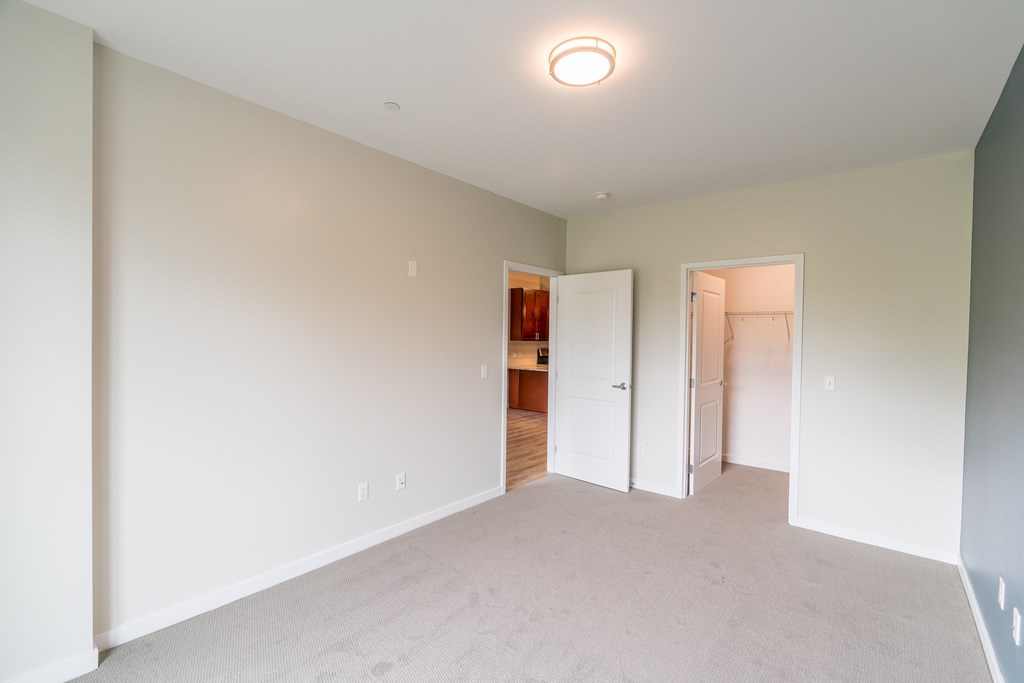 a bedroom with grey carpet and white walls