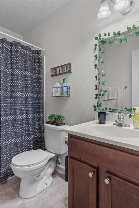 a bathroom with a toilet and a sink and a shower