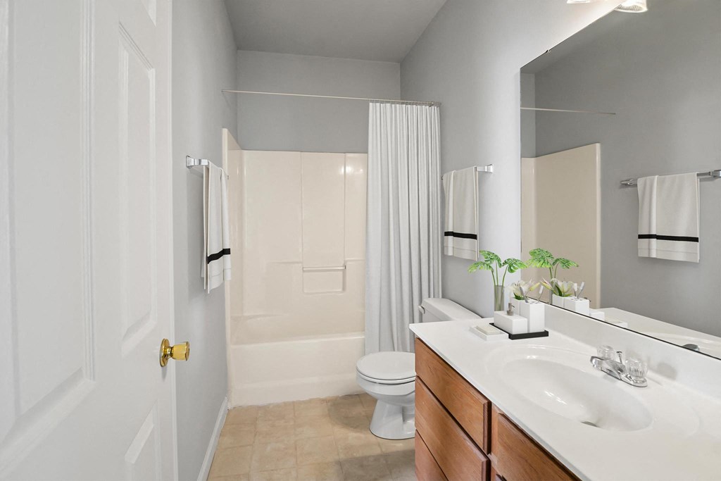 a bathroom with a white toilet next to a white sink with a mirror above it