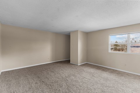 Empty room with carpeted floor and a window showing a view of a barren landscape.