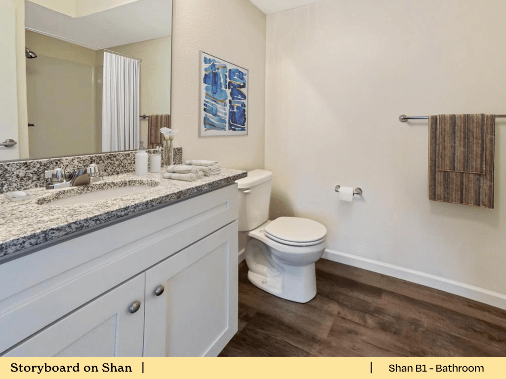 a bathroom with a toilet and a sink and a mirror