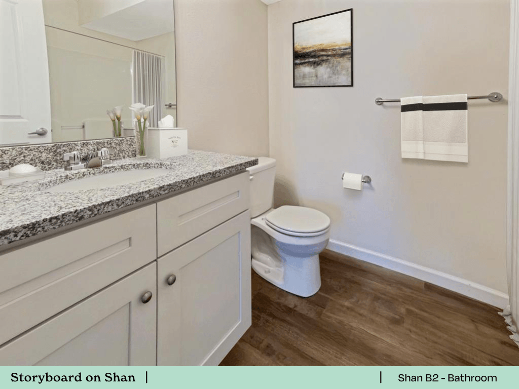 a bathroom with a toilet and a sink and a mirror