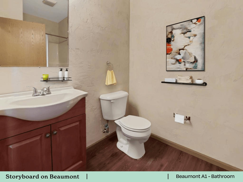 a bathroom with a toilet and a sink and a mirror