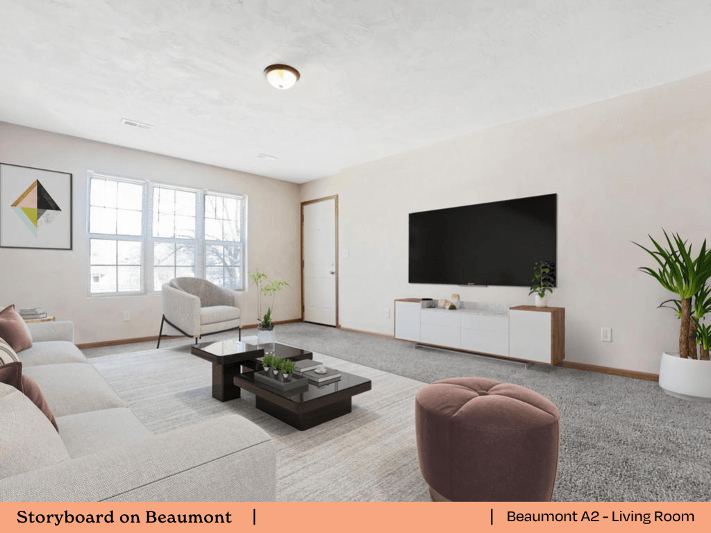 a living room with a couch and a tv