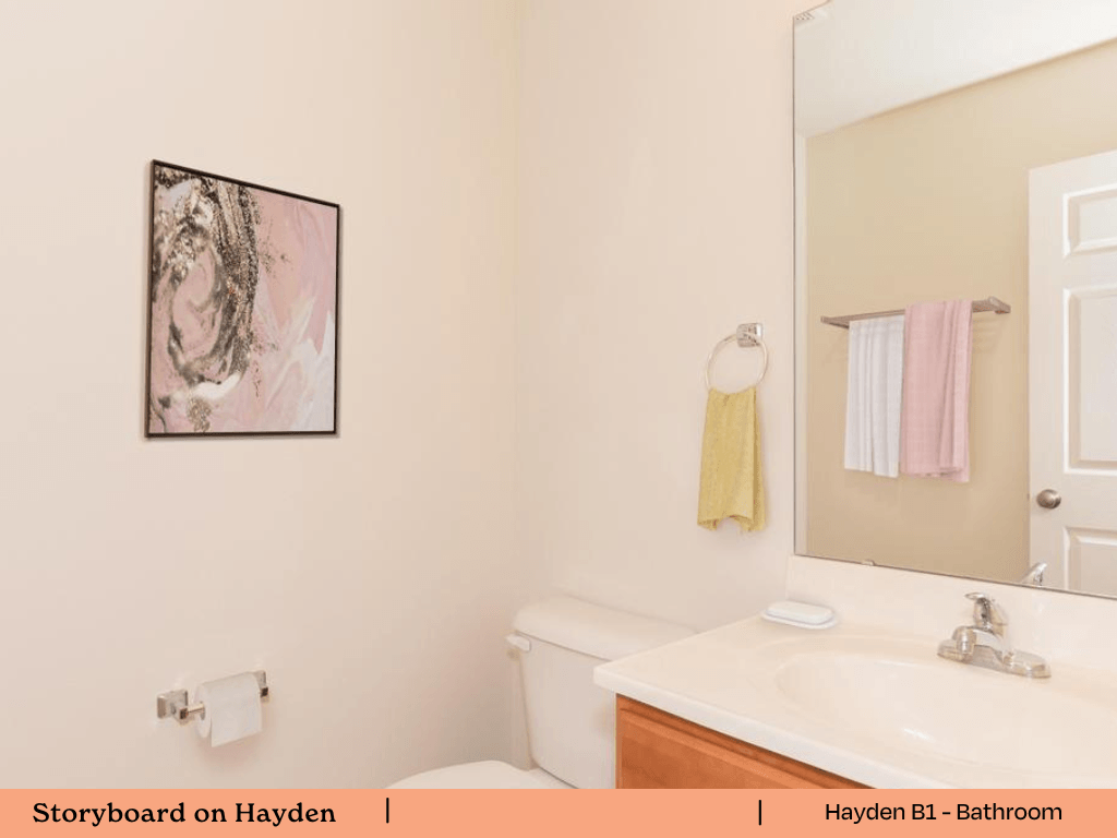 a bathroom with a sink and a toilet and a mirror