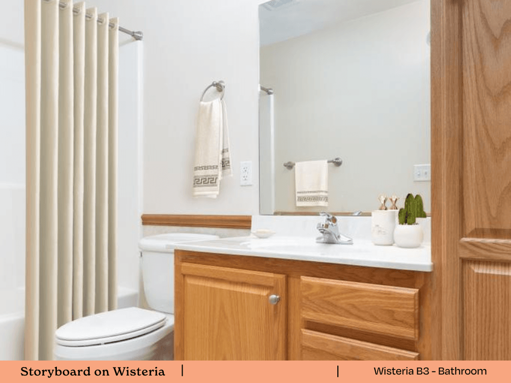 a bathroom with a toilet and a sink and a mirror