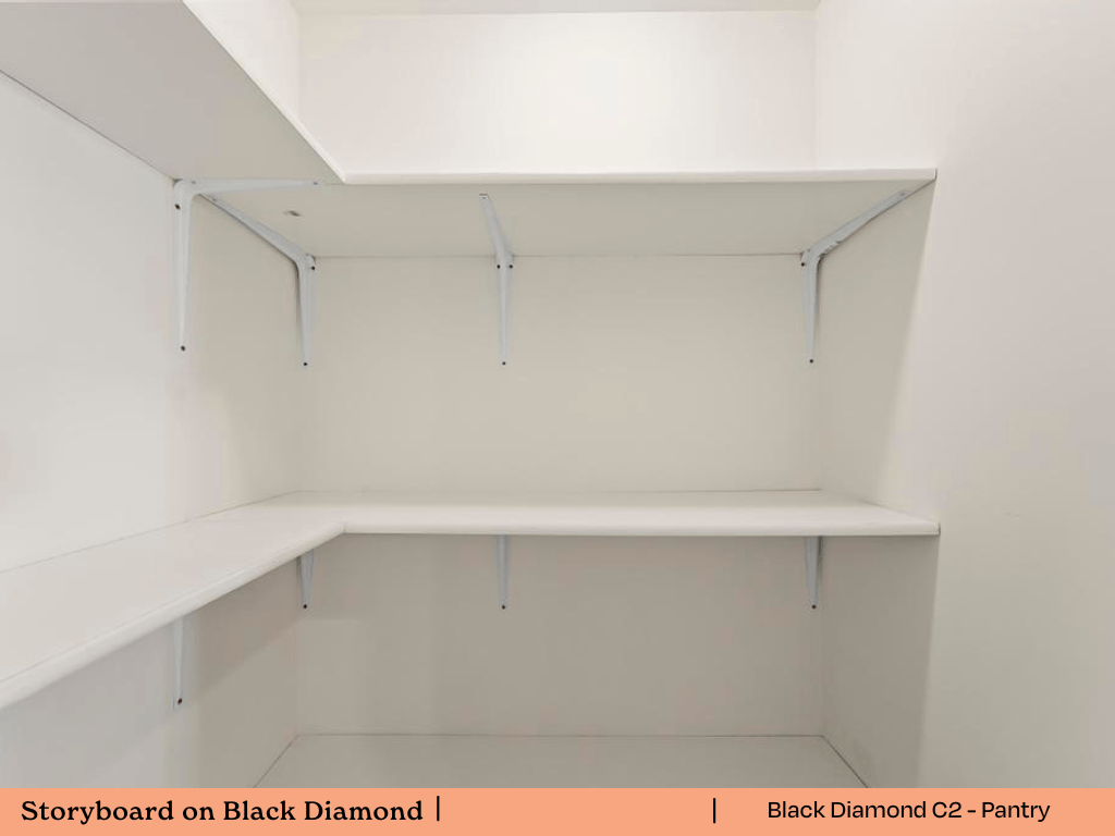 the shelves in the closet are empty and ready to be painted