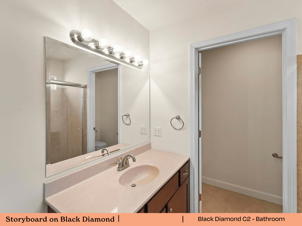 a bathroom with a sink and a shower and a mirror