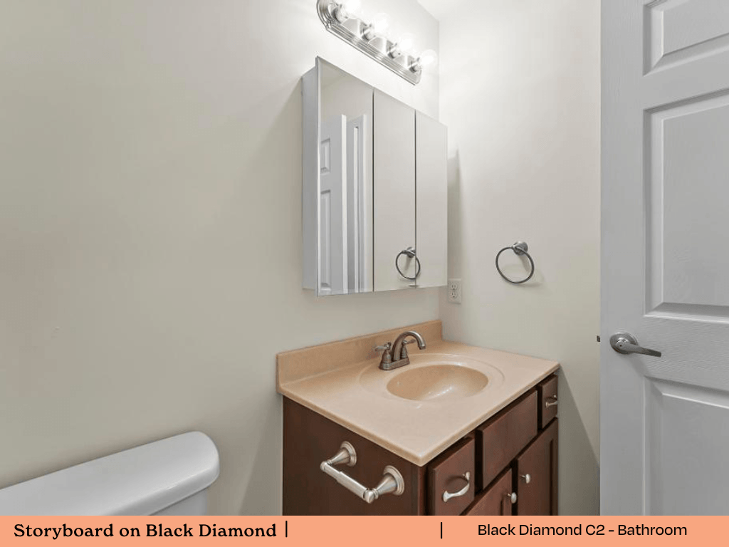 a bathroom with a sink and a mirror and a door