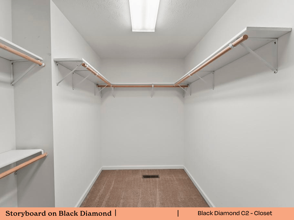 a empty room with shelves on the wall and a rug