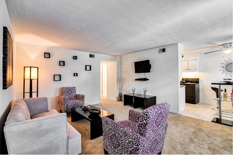 A living room with a grey couch, a black coffee table, and a purple chair with a patterned design.