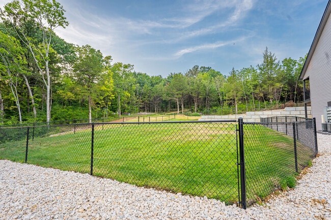 A backyard with a fenced green lawn and trees.