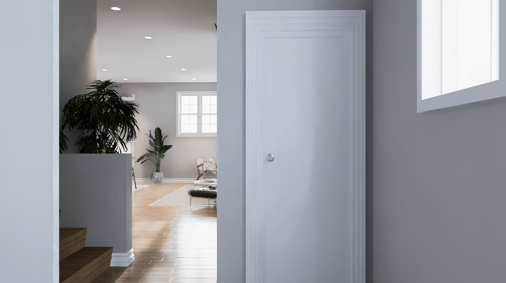 A white door is open to a living room with a couch and a plant.