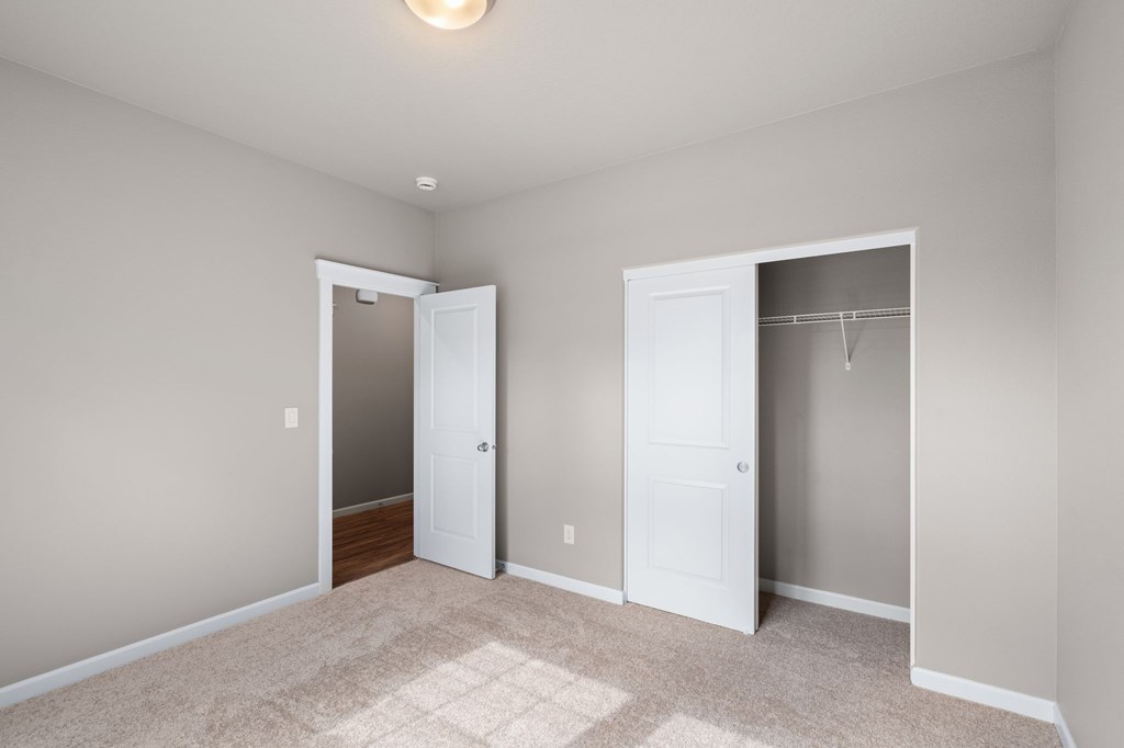 A room with two white doors and a carpet on the floor.