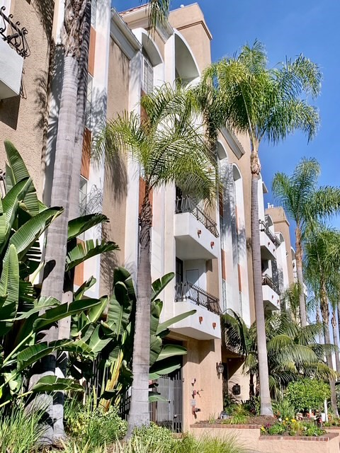 A building with balconies and palm trees in front.