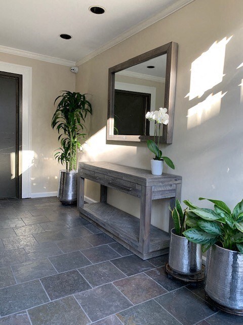 A bathroom with a large mirror, a plant, and a wooden bench.