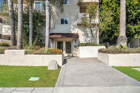 the sidewalk in front of a building with palm trees