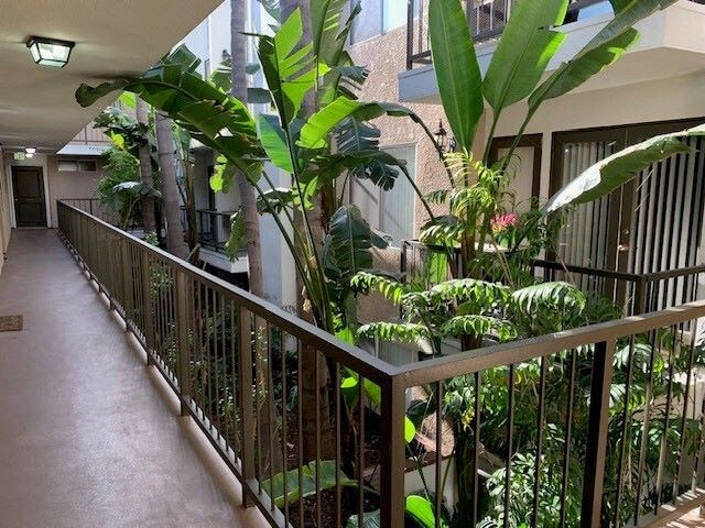 A balcony with a metal railing and a variety of plants.