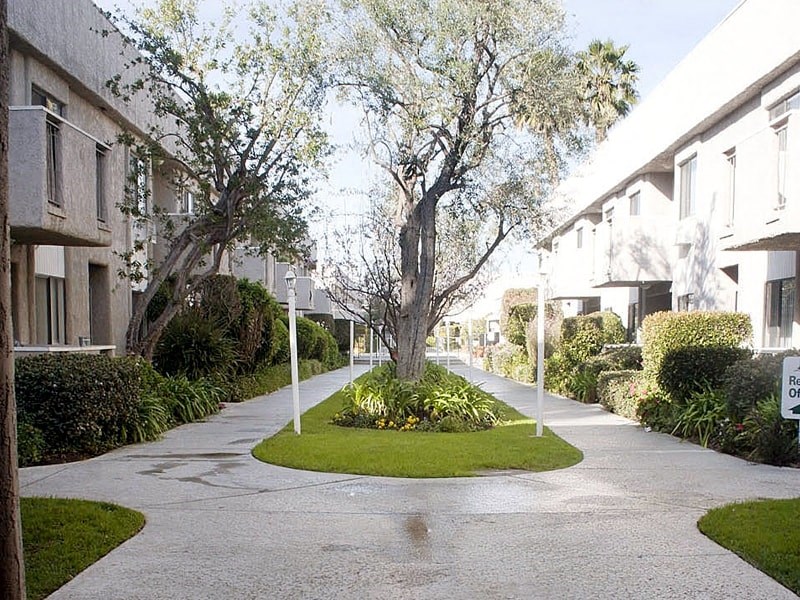 a city street with houses and trees and grass