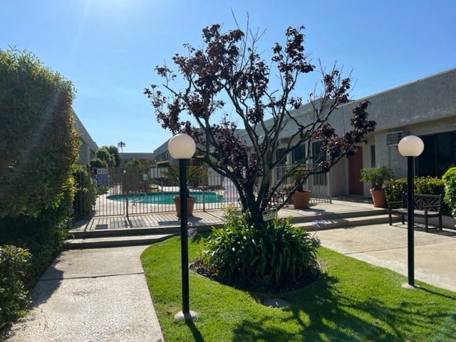 a house with a pool and a tree in the yard