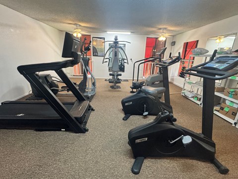 A room with a row of treadmills and elliptical machines.