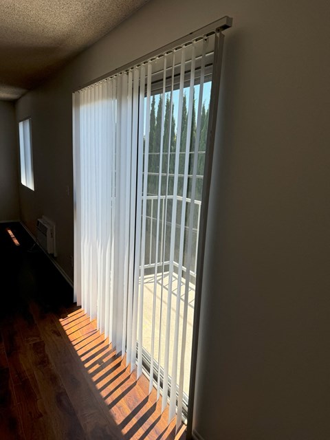 A window with white blinds is open, letting in sunlight.