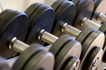 A set of dumbbells are lined up on a rack.