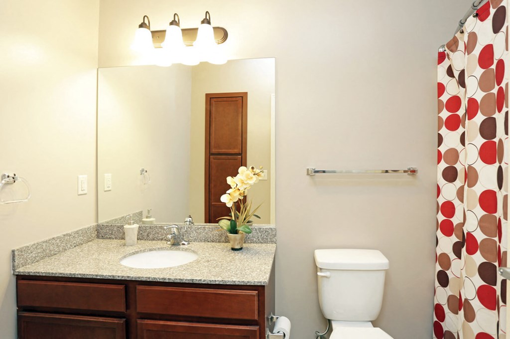 A bathroom with a sink, toilet, and a mirror.