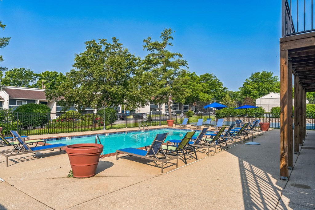 A pool area with chairs and a potted plant.