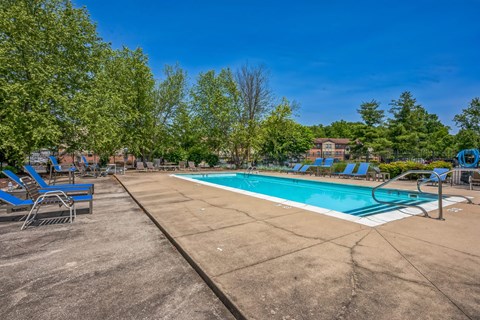 A large outdoor swimming pool surrounded by trees and lounge chairs.