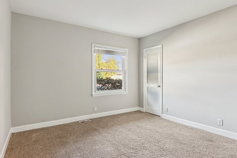 A room with a carpeted floor and a window showing trees outside.
