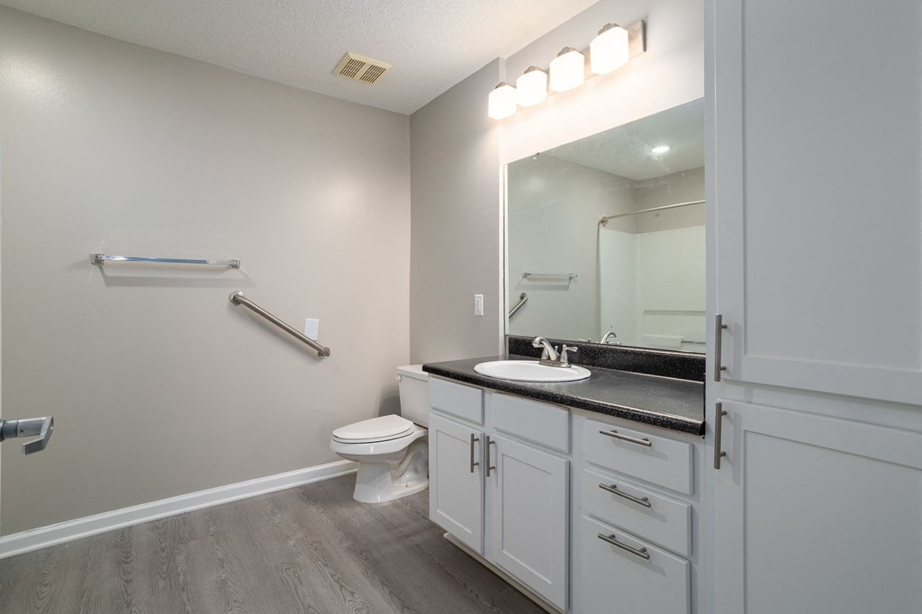 a bathroom with a sink and a toilet
