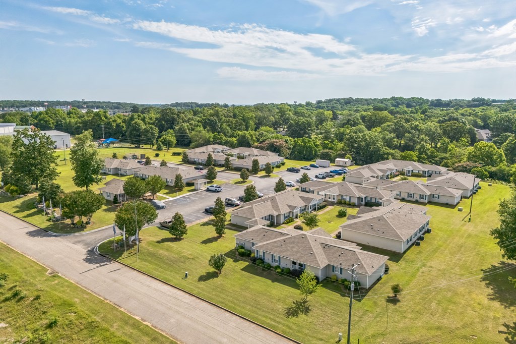 A bird's eye view of a residential area with houses and greenery.