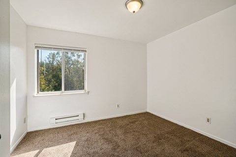 A room with a window and carpeted floor.