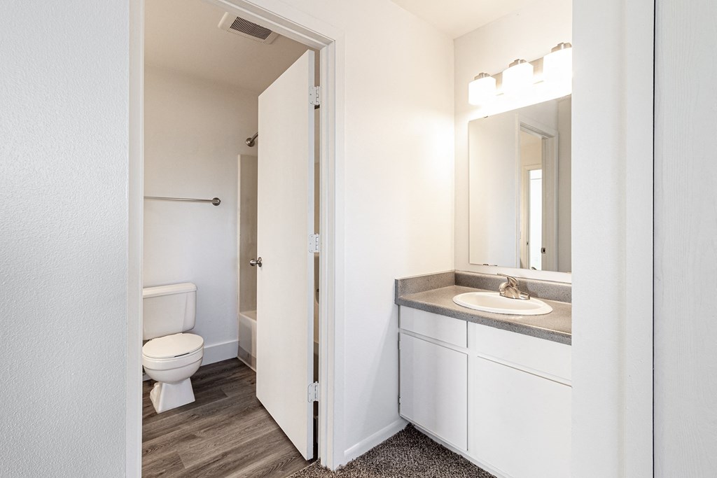 a bathroom with a toilet and a sink and a mirror