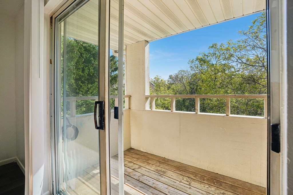 A glass door with a handle and a window on the other side.