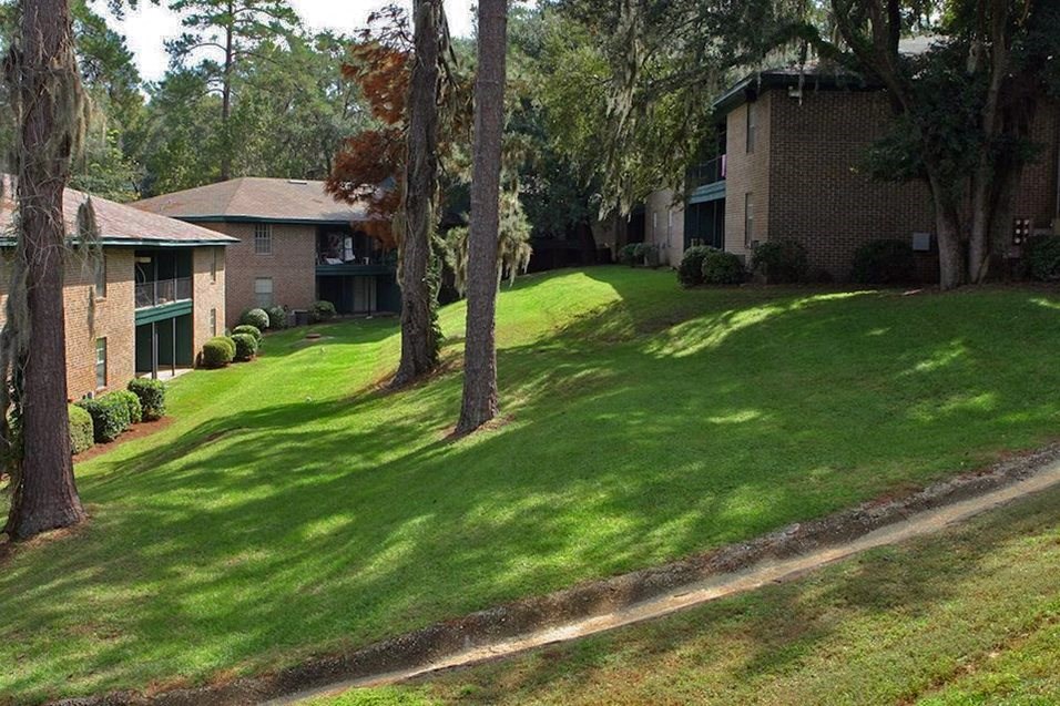a grassy area with trees in the middle of it