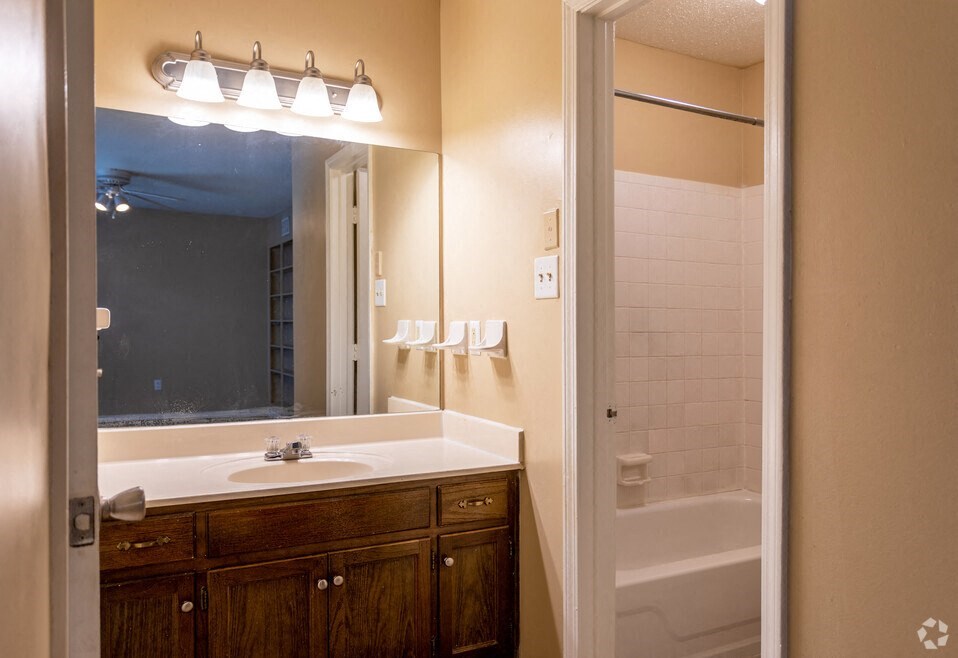 a bathroom with a sink and a shower and a mirror