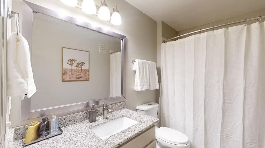 a bathroom with a sink and a toilet