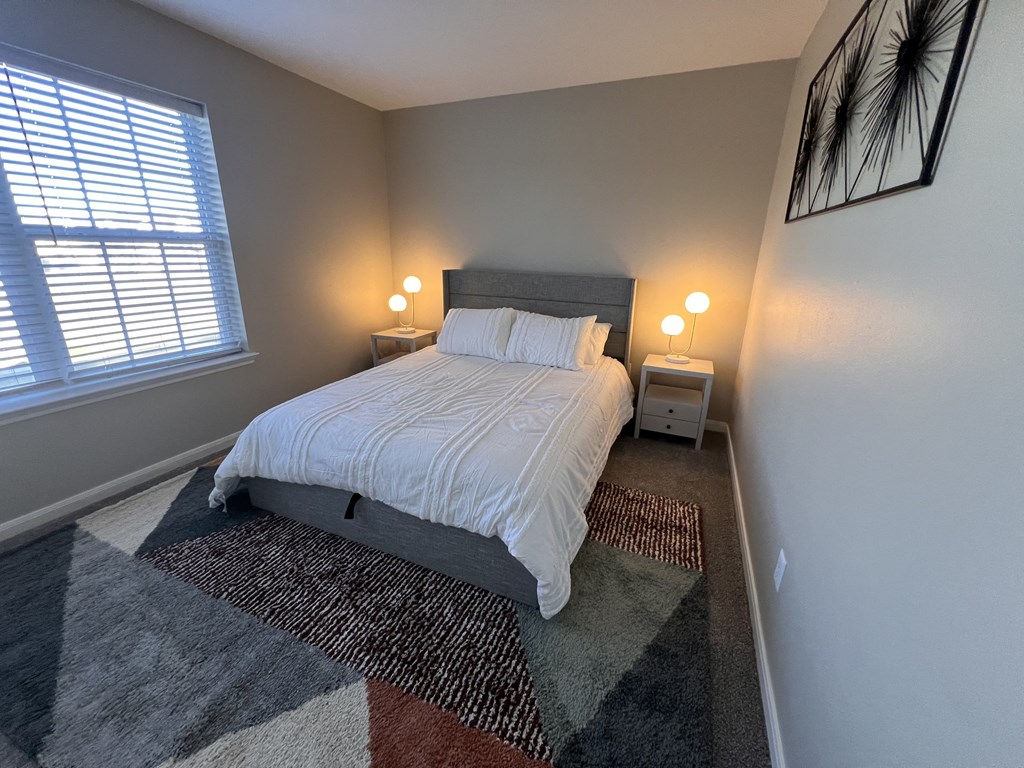 a bedroom with a bed and a rug and a window