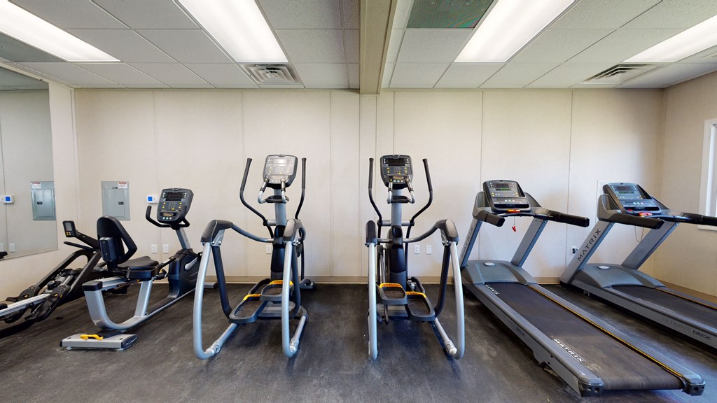 a row of exercise bikes in a gym