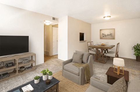 A living room with a grey couch, a coffee table, a television, and a dining table with chairs.