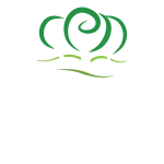 the logo on a green background